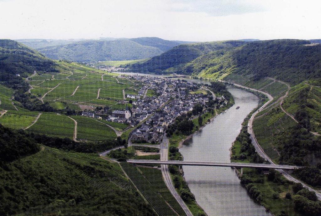 Moselwinzerhaus Appartement Bruttig-Fankel Buitenkant foto