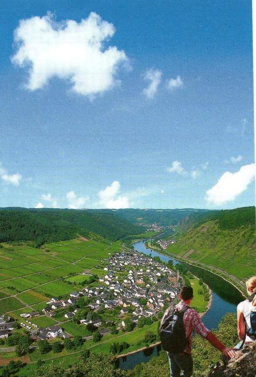 Moselwinzerhaus Appartement Bruttig-Fankel Buitenkant foto
